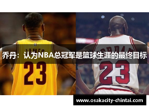 乔丹：认为NBA总冠军是篮球生涯的最终目标